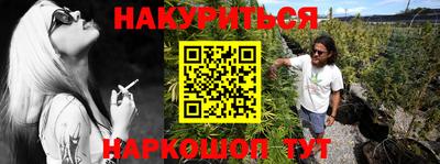 индика Ливны