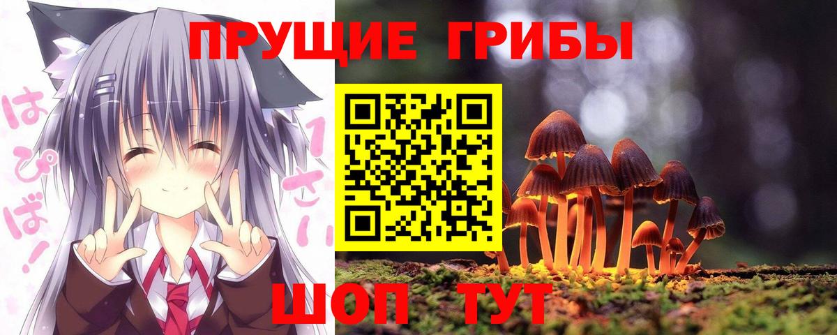Галлюциногенные грибы MAGIC MUSHROOMS Кимры